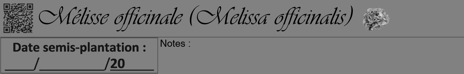 Étiquette de : Melissa officinalis - format a - style noire50basiqueviv avec qrcode et comestibilité simplifiée