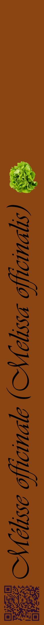 Étiquette de : Melissa officinalis - format a - style noire30viv avec qrcode et comestibilité simplifiée
