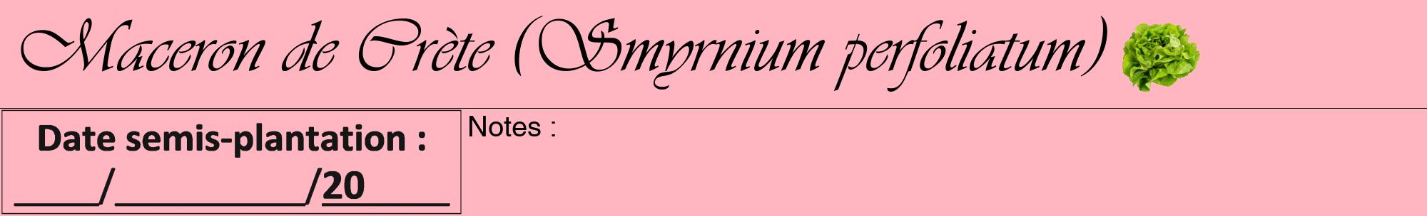 Étiquette de : Smyrnium perfoliatum - format a - style noire41viv avec comestibilité simplifiée