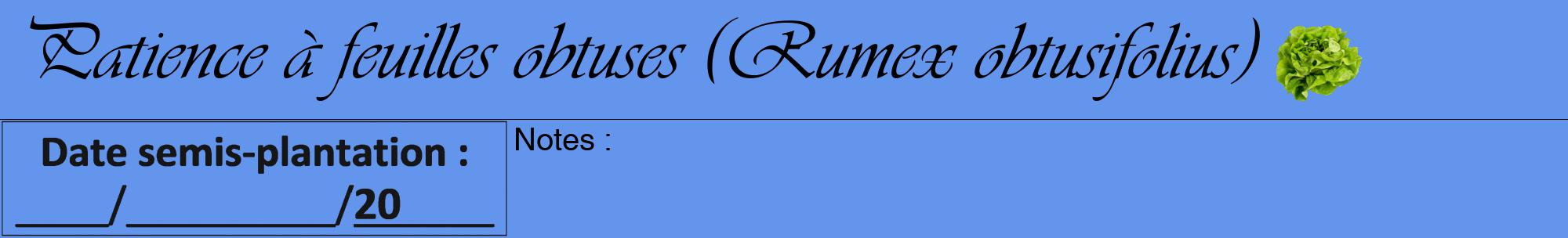 Étiquette de : Rumex obtusifolius - format a - style noire4viv avec comestibilité simplifiée