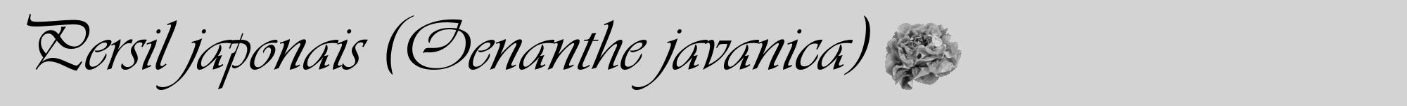 Étiquette de : Oenanthe javanica - format a - style noire56viv avec comestibilité simplifiée