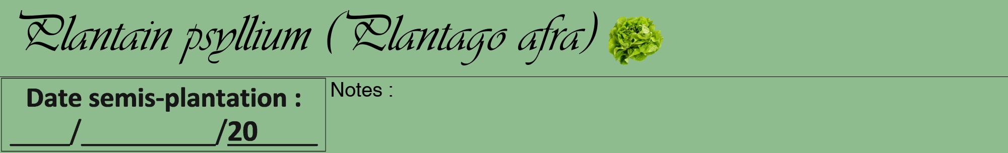 Étiquette de : Plantago afra - format a - style noire13viv avec comestibilité simplifiée