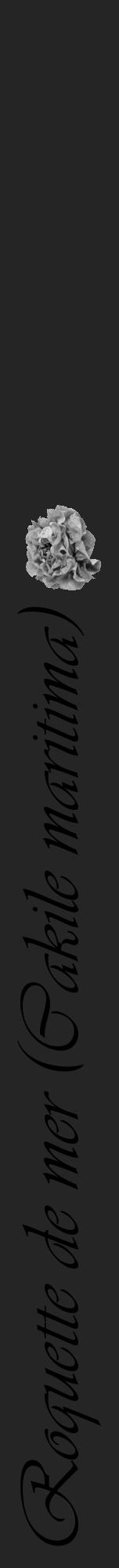 Étiquette de : Cakile maritima - format a - style noire47viv avec comestibilité simplifiée - position verticale