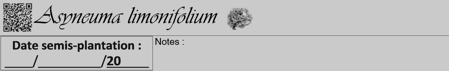 Étiquette de : Asyneuma limonifolium - format a - style noire54basiqueviv avec qrcode et comestibilité simplifiée