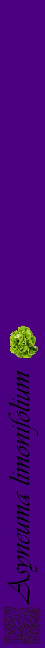 Étiquette de : Asyneuma limonifolium - format a - style noire47viv avec qrcode et comestibilité simplifiée
