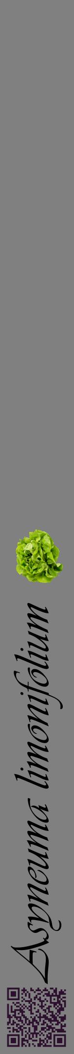 Étiquette de : Asyneuma limonifolium - format a - style noire57viv avec qrcode et comestibilité simplifiée