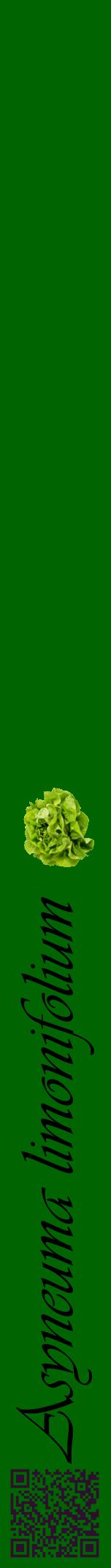 Étiquette de : Asyneuma limonifolium - format a - style noire8viv avec qrcode et comestibilité simplifiée