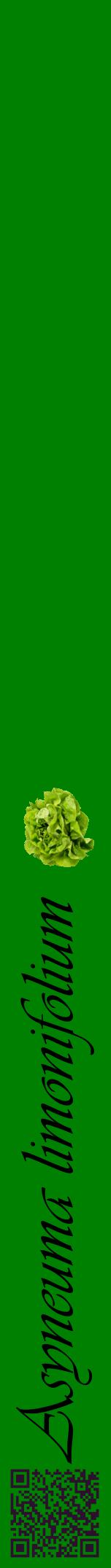 Étiquette de : Asyneuma limonifolium - format a - style noire9viv avec qrcode et comestibilité simplifiée