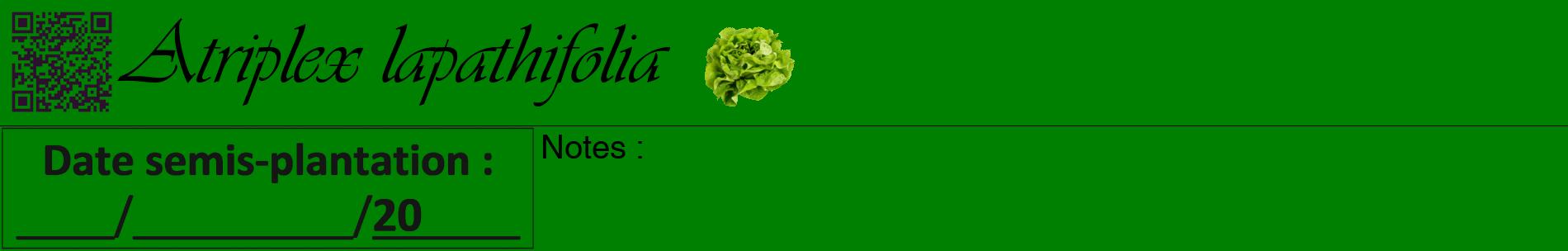 Étiquette de : Atriplex lapathifolia - format a - style noire9basiqueviv avec qrcode et comestibilité simplifiée