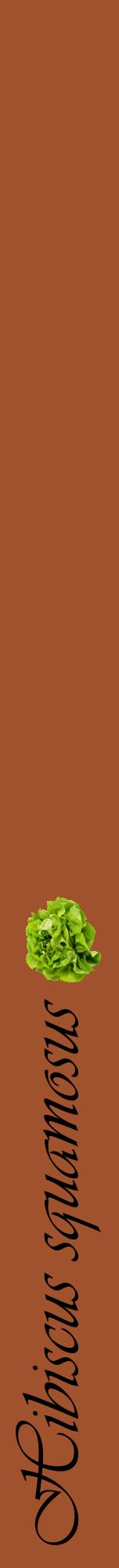 Étiquette de : Hibiscus squamosus - format a - style noire32viv avec comestibilité simplifiée