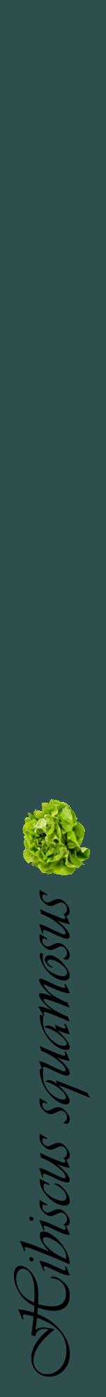 Étiquette de : Hibiscus squamosus - format a - style noire58viv avec comestibilité simplifiée