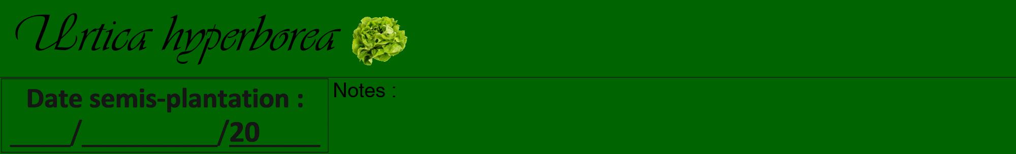 Étiquette de : Urtica hyperborea - format a - style noire8viv avec comestibilité simplifiée