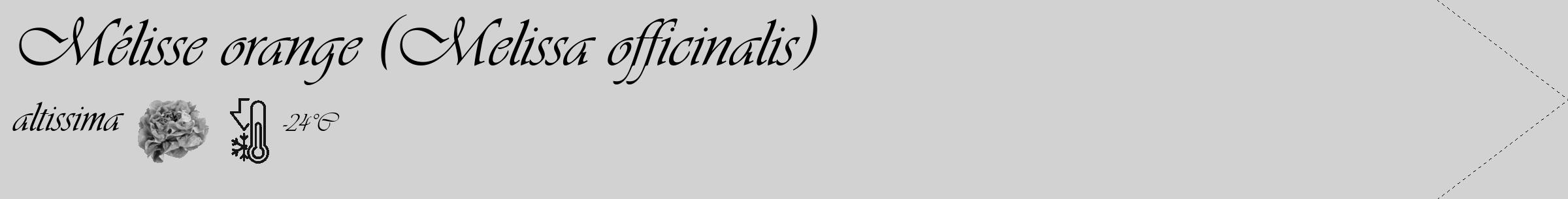 Étiquette de : Melissa officinalis altissima - format c - style noire14_simple_simpleviv avec comestibilité simplifiée