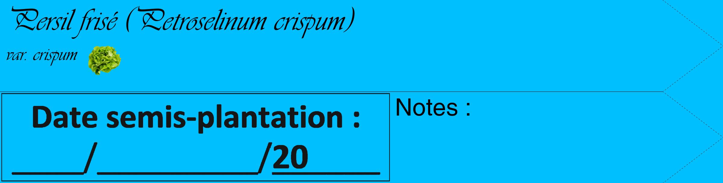 Étiquette de : Petroselinum crispum var. crispum - format c - style noire2_simple_simpleviv avec comestibilité simplifiée