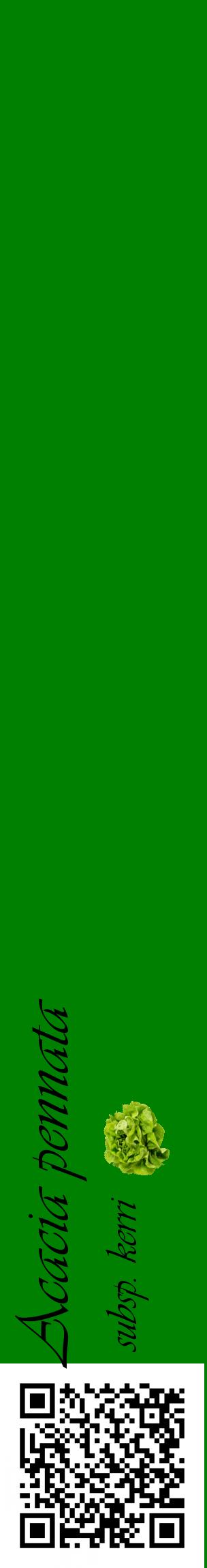 Étiquette de : Acacia pennata subsp. kerri - format c - style noire9_basiqueviv avec qrcode et comestibilité simplifiée