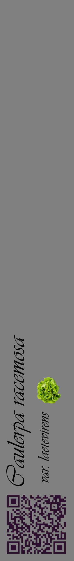 Étiquette de : Caulerpa racemosa var. laetevirens - format c - style noire57_basiqueviv avec qrcode et comestibilité simplifiée