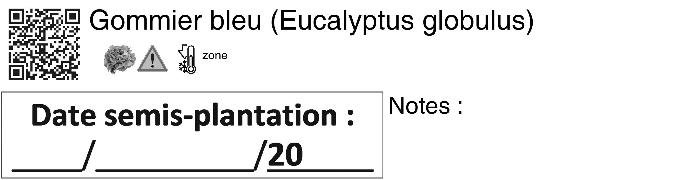 Étiquette de : Eucalyptus globulus - format c - style noire60_basiquegrrvhel avec qrcode et comestibilité simplifiée
