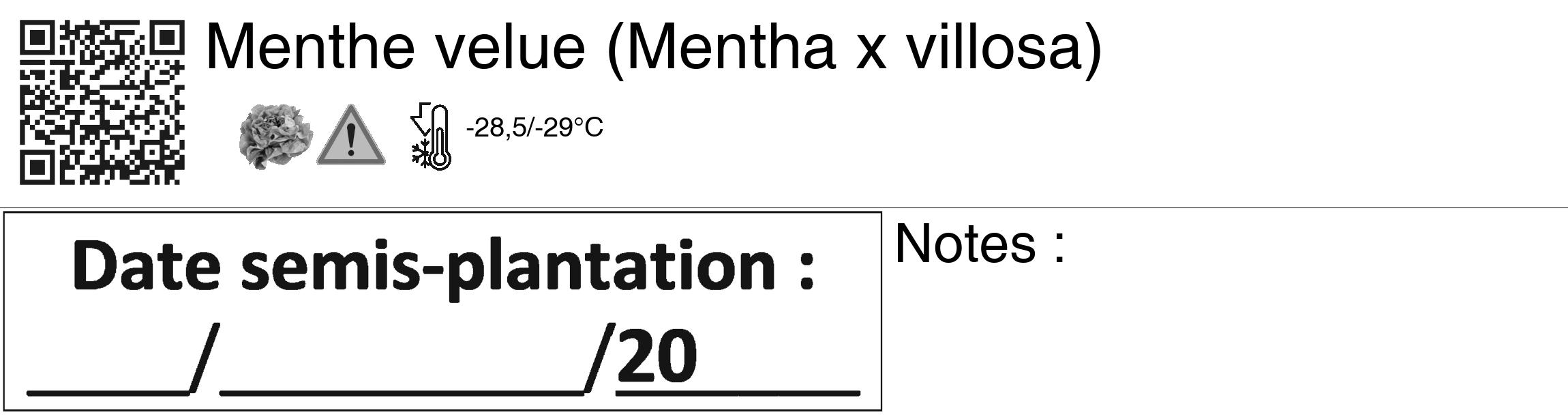 Étiquette de : Mentha x villosa - format c - style noire60_basiquegrrvhel avec qrcode et comestibilité simplifiée