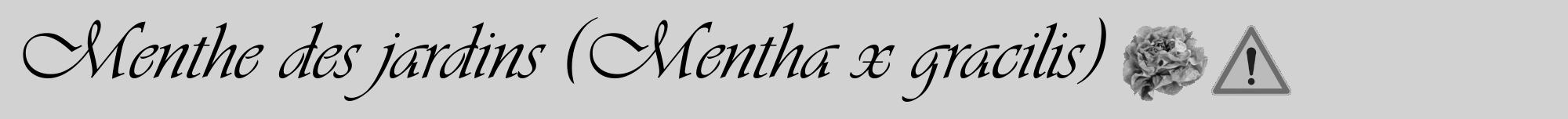 Étiquette de : Mentha x gracilis - format a - style noire14viv avec comestibilité simplifiée