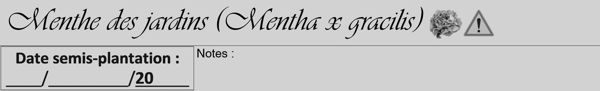 Étiquette de : Mentha x gracilis - format a - style noire14viv avec comestibilité simplifiée
