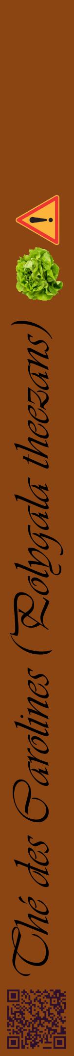 Étiquette de : Polygala theezans - format a - style noire30viv avec qrcode et comestibilité simplifiée