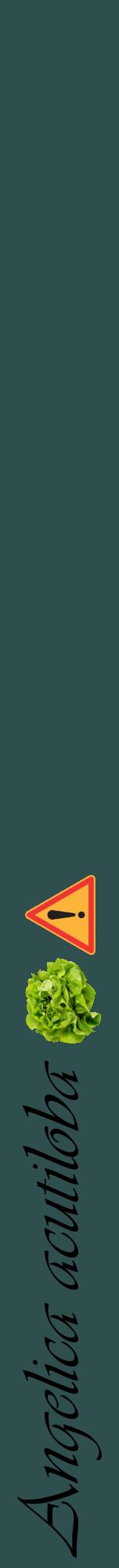 Étiquette de : Angelica acutiloba - format a - style noire58viv avec comestibilité simplifiée