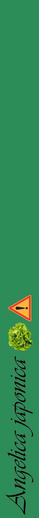 Étiquette de : Angelica japonica - format a - style noire11viv avec comestibilité simplifiée