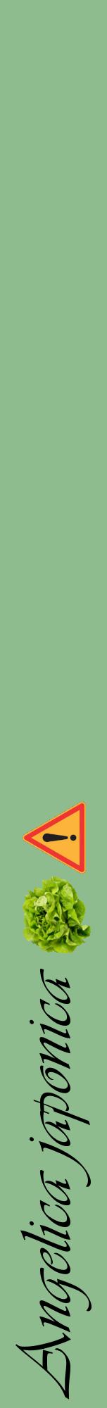 Étiquette de : Angelica japonica - format a - style noire13viv avec comestibilité simplifiée