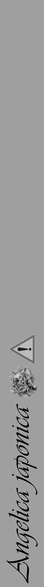 Étiquette de : Angelica japonica - format a - style noire24viv avec comestibilité simplifiée - position verticale