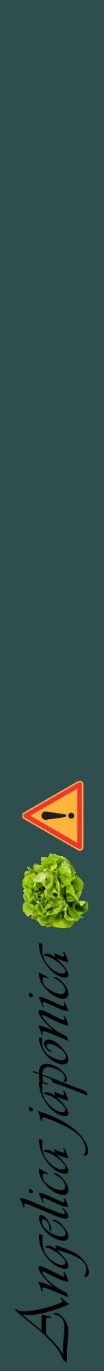 Étiquette de : Angelica japonica - format a - style noire58viv avec comestibilité simplifiée