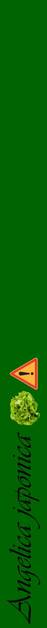 Étiquette de : Angelica japonica - format a - style noire8viv avec comestibilité simplifiée