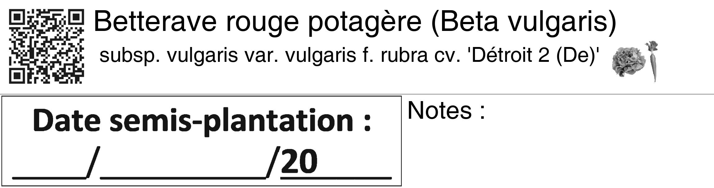 Étiquette de : Beta vulgaris subsp. vulgaris var. vulgaris f. rubra cv. 'Détroit 2 (De)' - format c - style noire60_basiquegrrvhel avec qrcode et comestibilité simplifiée