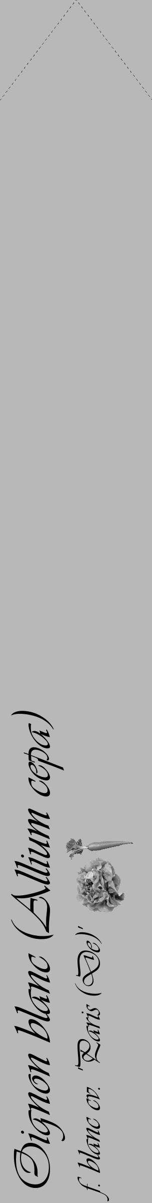 Étiquette de : Allium cepa f. blanc cv. 'Paris (De)' - format c - style noire39_simple_simpleviv avec comestibilité simplifiée - position verticale