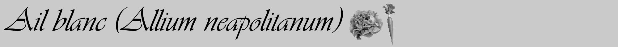 Étiquette de : Allium neapolitanum - format a - style noire21viv avec comestibilité simplifiée