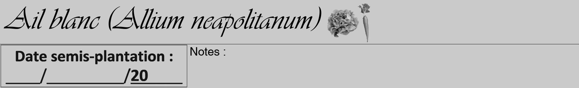 Étiquette de : Allium neapolitanum - format a - style noire21viv avec comestibilité simplifiée