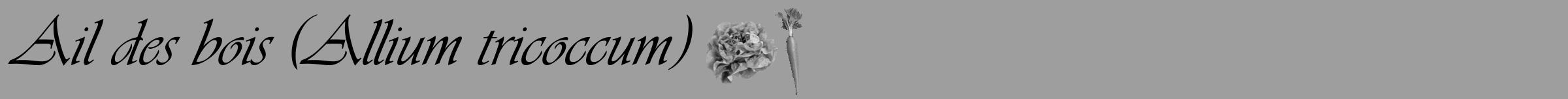 Étiquette de : Allium tricoccum - format a - style noire23simpleviv avec comestibilité simplifiée