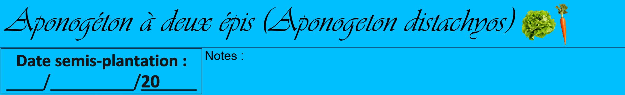 Étiquette de : Aponogeton distachyos - format a - style noire2viv avec comestibilité simplifiée