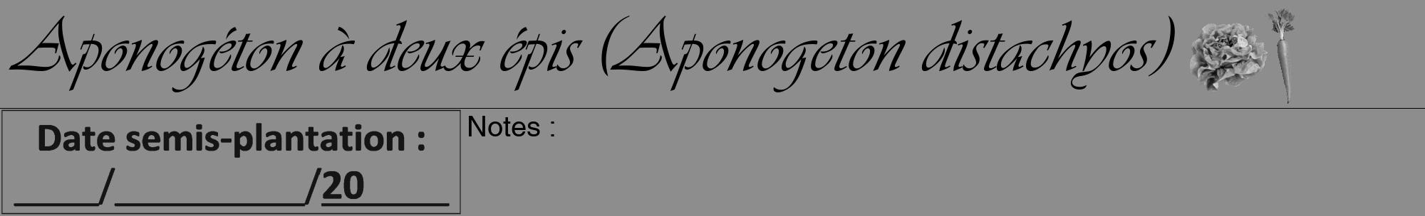 Étiquette de : Aponogeton distachyos - format a - style noire2viv avec comestibilité simplifiée