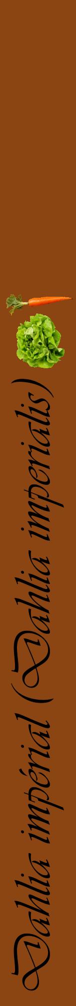 Étiquette de : Dahlia imperialis - format a - style noire30viv avec comestibilité simplifiée