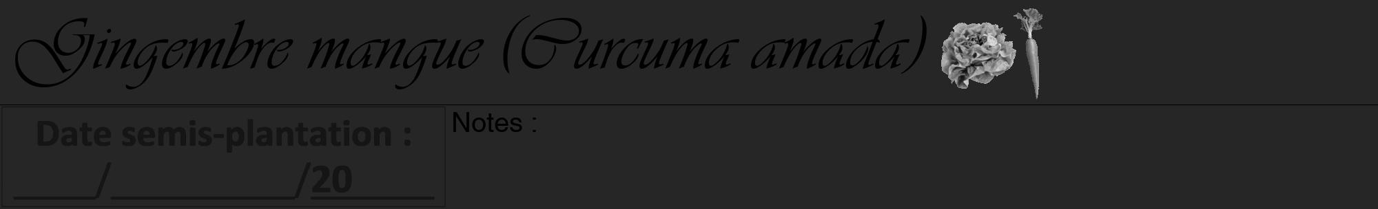 Étiquette de : Curcuma amada - format a - style noire29viv avec comestibilité simplifiée