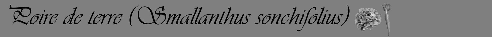 Étiquette de : Smallanthus sonchifolius - format a - style noire31viv avec comestibilité simplifiée