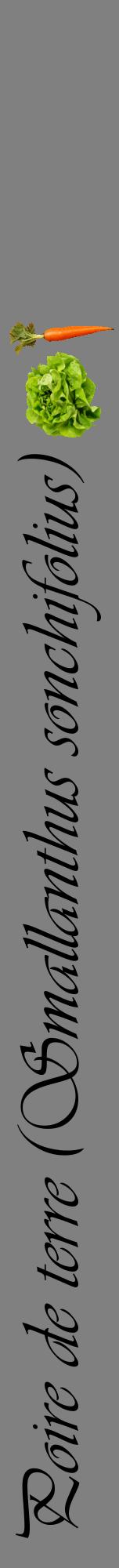 Étiquette de : Smallanthus sonchifolius - format a - style noire57viv avec comestibilité simplifiée