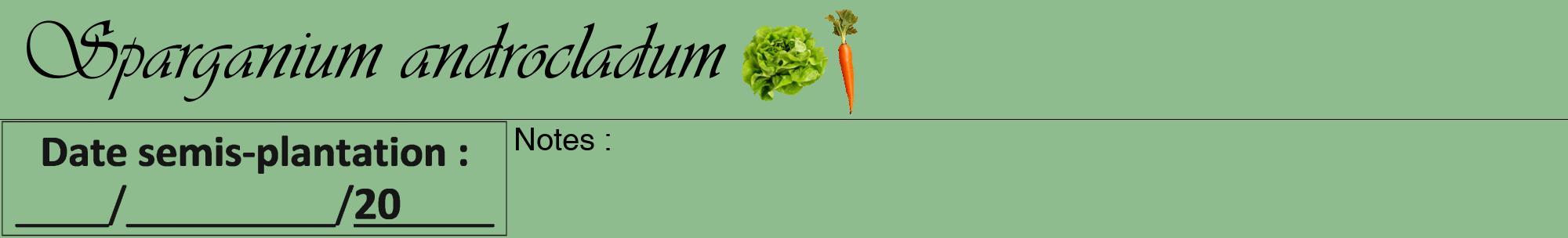 Étiquette de : Sparganium androcladum - format a - style noire13viv avec comestibilité simplifiée