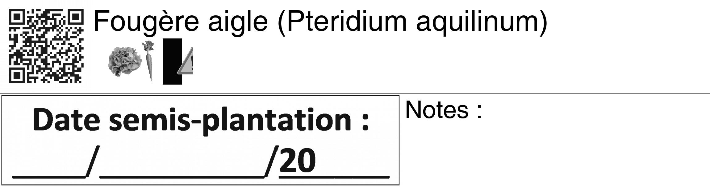 Étiquette de : Pteridium aquilinum - format c - style noire60_basiquegrrvhel avec qrcode et comestibilité simplifiée