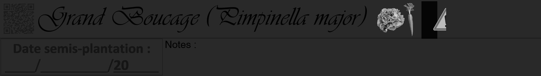 Étiquette de : Pimpinella major - format a - style noire34simpleviv avec qrcode et comestibilité simplifiée