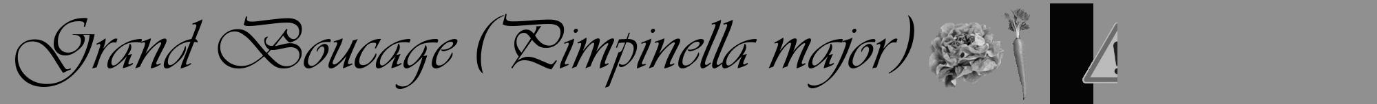 Étiquette de : Pimpinella major - format a - style noire4viv avec comestibilité simplifiée