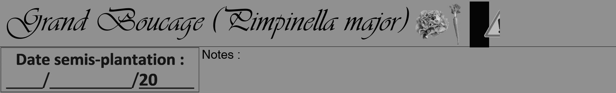 Étiquette de : Pimpinella major - format a - style noire4viv avec comestibilité simplifiée