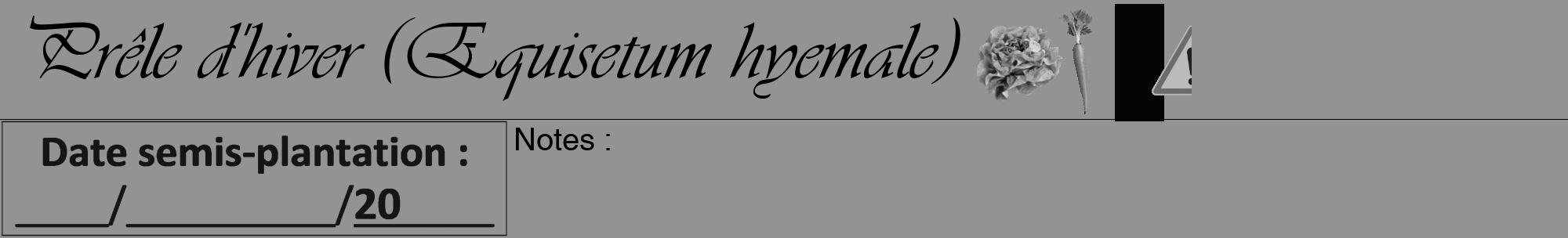 Étiquette de : Equisetum hyemale - format a - style noire44viv avec comestibilité simplifiée