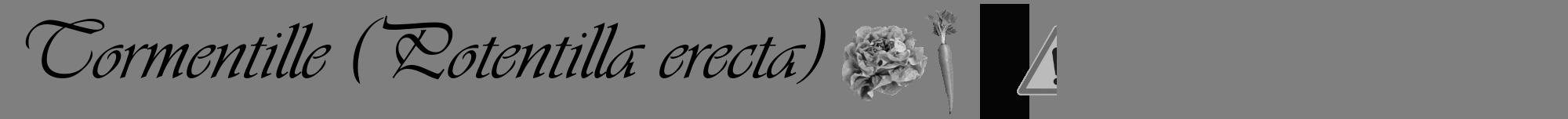 Étiquette de : Potentilla erecta - format a - style noire31viv avec comestibilité simplifiée