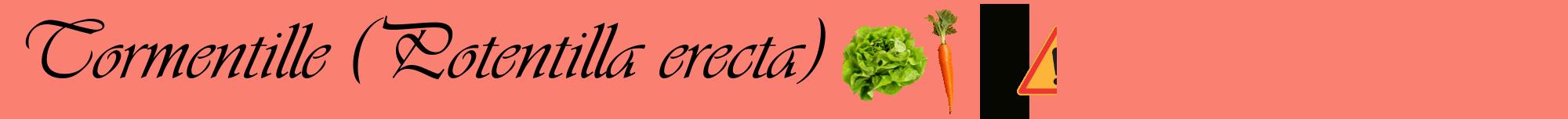 Étiquette de : Potentilla erecta - format a - style noire38basiqueviv avec comestibilité simplifiée